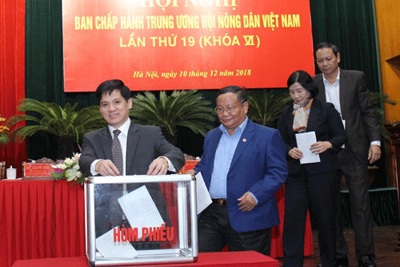 Chương trình làm việc của Đại hội toàn quốc Hội Nông dân Việt Nam lần thứ VII
