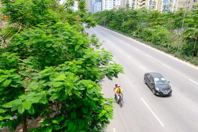 Triệu cây xanh góp phần làm dịu cơn nắng nóng gắt ở Hà Nội