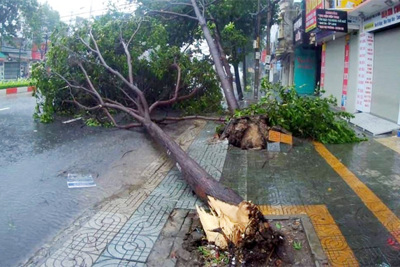 Các tỉnh Nam Bộ mưa lớn do ảnh hưởng bão số 9