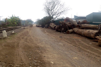 Phường Dương Nội xử lý bãi gỗ ven đường sắt