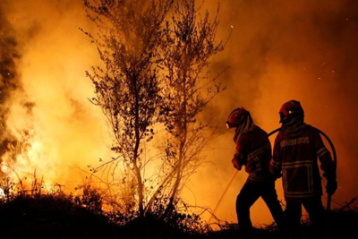 Cháy rừng ở Tây Ban Nha và Bồ Đào Nha, ít nhất 44 người thiệt mạng