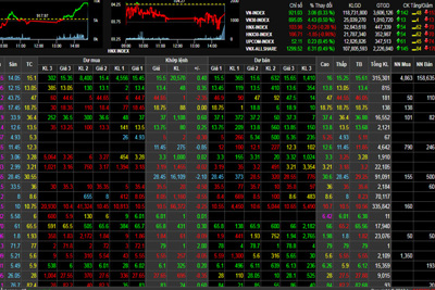 Phiên 26/11: VN-Index bất ngờ vọt tăng mạnh cuối phiên, HNX-Index ngược chiều