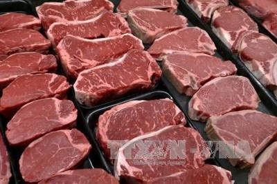 Cục Thú y lý giải về thịt bò Úc, Mỹ nhập khẩu giá siêu rẻ