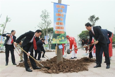 Huyện Gia Lâm phấn đấu trồng mới 7.316 cây xanh