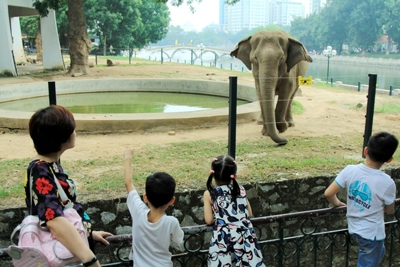 Hà Nội công nhận điểm du lịch Vườn thú Hà Nội