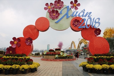 Đà Nẵng chi 2,5 tỷ đồng từ nguồn xã hội hóa trang trí đường hoa Tết Mậu Tuất 2018