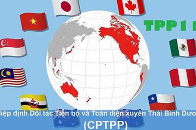 Tận dụng tốt các cơ hội mà Hiệp định CPTPP mang lại