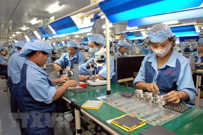 EVFTA - Cơ hội và thách thức cho doanh nghiệp Việt Nam