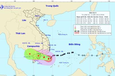 Bão số 9 đã gây mưa lớn tại khu vực ven biển Nam Trung Bộ