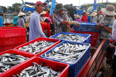 EU chính thức rút “tấm thẻ vàng” đối với hải sản Việt Nam