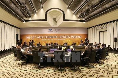 Khai mạc Hội nghị các nhà lãnh đạo kinh tế APEC lần thứ 25 ở Đà Nẵng
