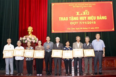 Huyện Gia Lâm trao Huy hiệu Đảng cho 126 đảng viên