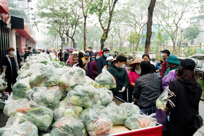 Người Hà Nội tham gia giải cứu nông sản
