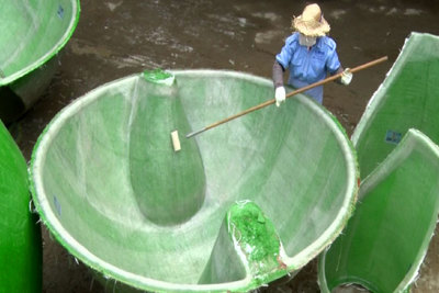 Giải pháp xanh cho môi trường chăn nuôi Việt