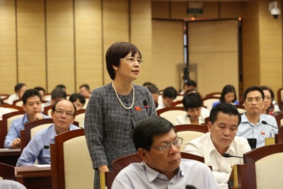 Hà Nội: Thông qua chính sách khuyến khích phát triển sản xuất nông nghiệp