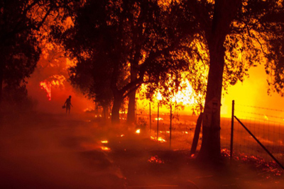 Cháy rừng tại California lan rộng khiến 23 người thiệt mạng