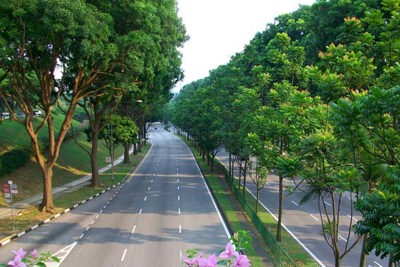 Quỹ 1 triệu cây xanh cho Việt Nam: Tô điểm màu xanh cho đất nước