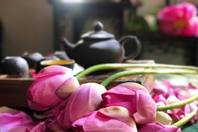 Linh Hoa Trà, tinh hoa trà sen đất Kinh kỳ