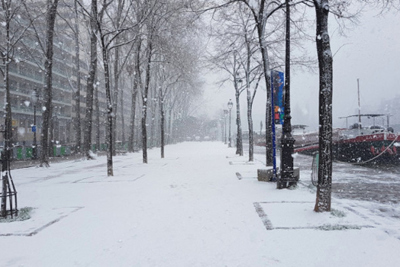 Giao thông thủ đô Paris hỗn loạn vì tuyết rơi dày