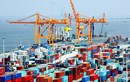 Việt Nam thặng dư thương mại 181 triệu USD trong tháng đầu năm