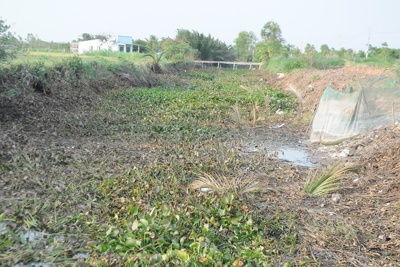 Tiền Giang: Nạo vét hơn 60km kênh rạch trữ nước phòng chống hạn mặn