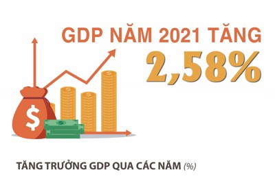 [Infographic] GDP Việt Nam năm 2021 ước tăng 2,58%