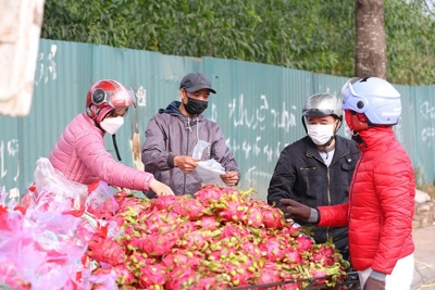 [Ảnh] Hà Nội: Xe hàng hoa quả ùn ứ tại biên giới được người dân tới mua ủng hộ