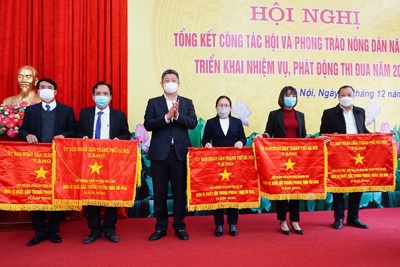 Nông dân Hà Nội không thể mãi đi tìm trồng cây gì, nuôi con gì