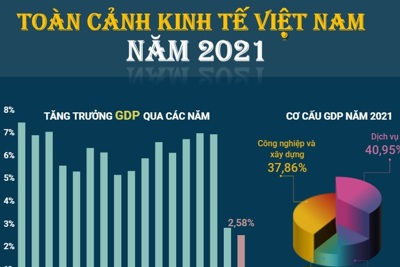 [Graphic] Toàn cảnh nền kinh tế Việt Nam trong năm 2021