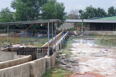 Thừa Thiên Huế: Cơ quan chức năng vào cuộc vụ doanh nghiệp chăn nuôi lợn “bức tử” môi trường