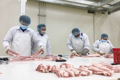 Giá lợn hơi ngày 2/1/2022: Nhu cầu mua giảm sút mạnh 