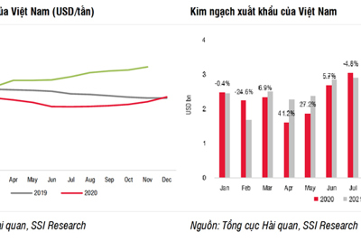 Chứng khoán hôm nay (6/1): Khuyến nghị những cổ phiếu nên đầu tư trong năm 2022