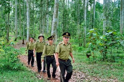 Tăng cường tuyên truyền cho người dân để thay đổi nhận thức về cách bảo vệ rừng