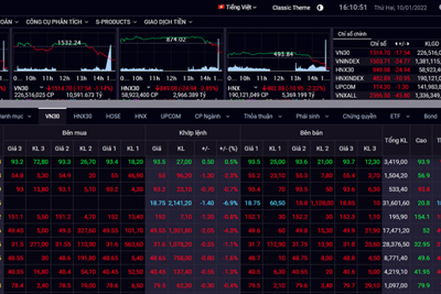 Chứng khoán hôm nay (10/1): Bất ngờ phiên chiều, nhiều cổ phiếu từ giá trần rơi xuống sàn