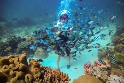 Công viên bảo tồn san hô ở Việt Nam được báo Hàn Quốc khen ngợi