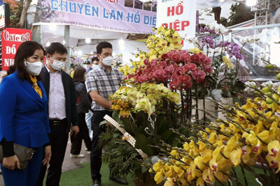 Hà Nội: Bảo đảm an toàn phòng chống dịch Covid-19 tại các chợ hoa xuân
