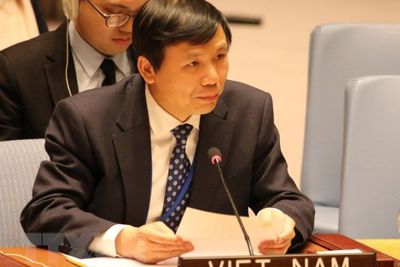 Đại sứ: Việt Nam giữ nguyên tắc nhưng  vẫn “có tình có lý” ở LHQ