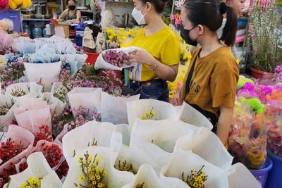 TP Hồ Chí Minh: Hoa cắm cành Trung Quốc lấn át hoa Việt dịp Tết