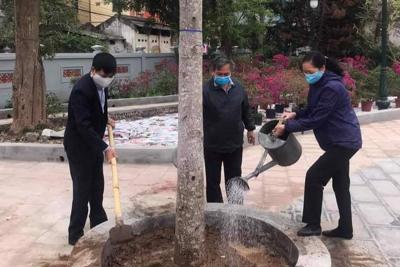 Năm 2022: Hà Nội trồng 200.000 - 250.000 cây bóng mát trên các tuyến đường