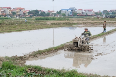 Hà Nội còn 4 huyện chưa lấy đủ nước gieo cấy vụ Xuân: