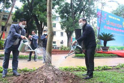 Chủ tịch UBND TP Hà Nội dự Tết trồng cây tại quận Hai Bà Trưng