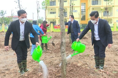 Huyện Đông Anh: Trồng thêm gần 37.000 cây xanh trong năm 2022