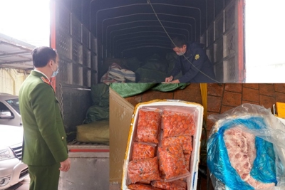Hà Nội: Phát hiện gần 5 tấn nầm lợn, trứng non không rõ nguồn gốc