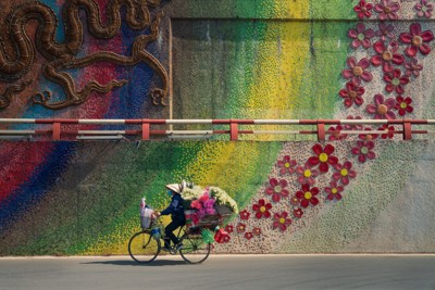 Tác phẩm chụp hoa và phố Hà Nội đoạt giải ảnh quốc gia 