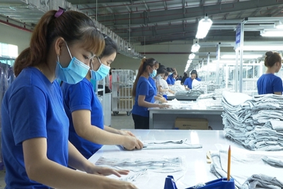 Việt Nam phải đa dạng hóa nguồn cung, tăng cường hỗ trợ doanh nghiệp