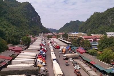 Hơn 1.700 xe nông sản ùn ứ tại các cửa khẩu chính ở Lạng Sơn