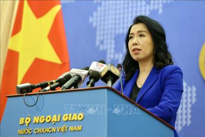 Việt Nam sẵn sàng bảo hộ công dân tại Ukraine