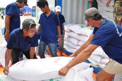 Xuất cấp hơn 1.800 tấn gạo cho 3 tỉnh Nghệ An, Đắk Lắk, Gia Lai