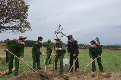 Quảng Bình: Trại giam Đồng Sơn ra quân trồng mới hàng nghìn cây xanh
