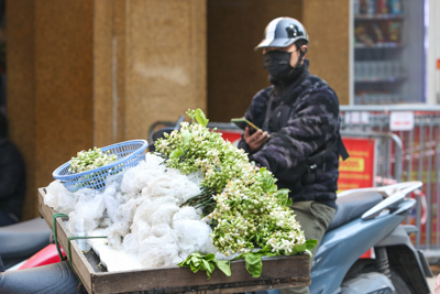 Thời tiết ngày 26/2: Hà Nội duy trì ngày nắng nhưng trời vẫn rét đậm